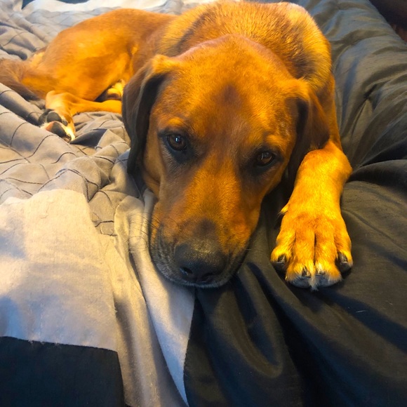 Meet your Posher, Kara - Picture 7 of 7